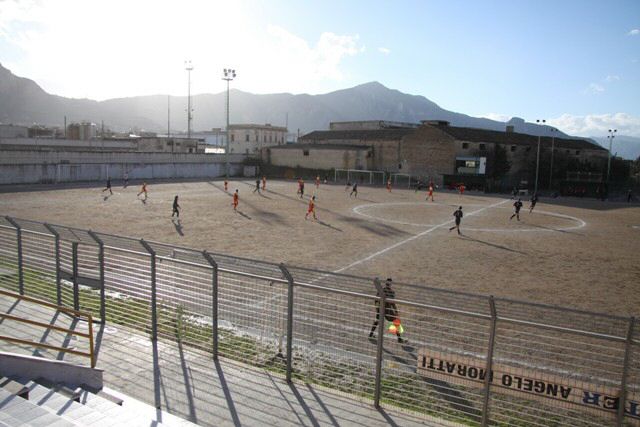IMG_9294y.jpg