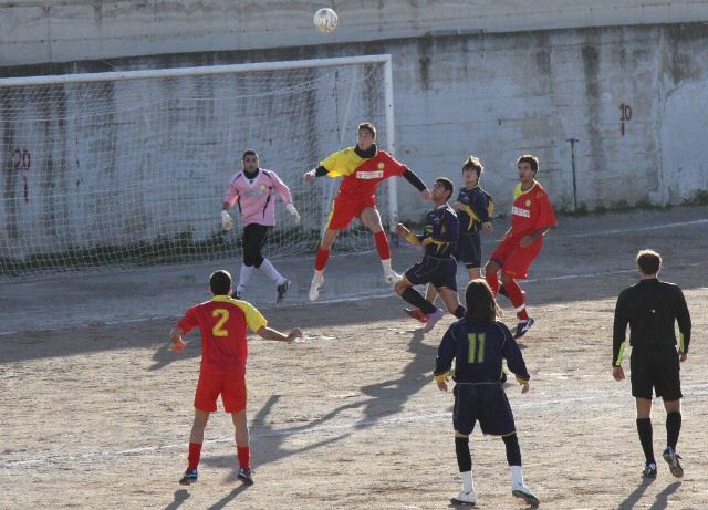 IMG_9346y.jpg