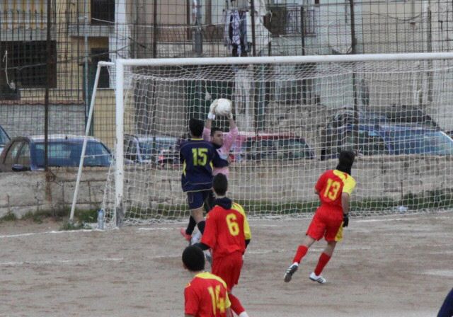 IMG_9524y.jpg