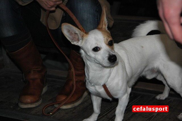 paidea019.jpg