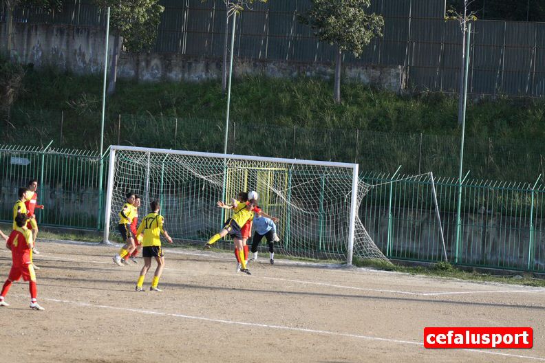 110312_vigor284.jpg