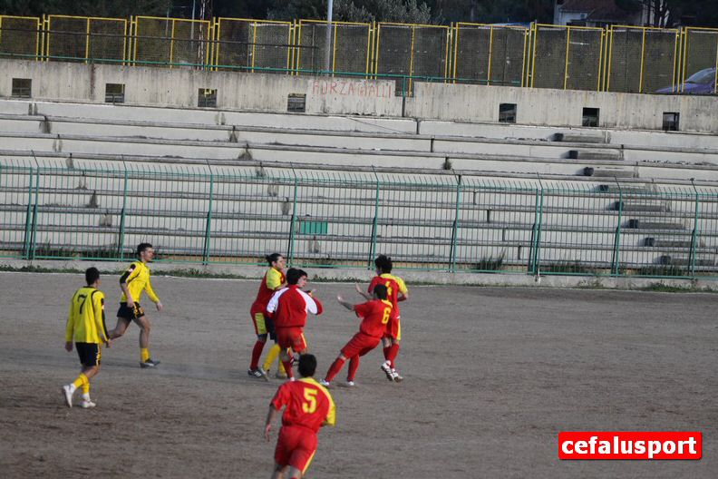 110312_vigor390.jpg