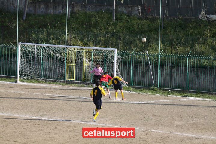 110327Mazzarra291.jpg