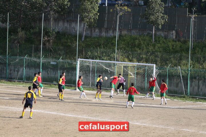 110327Mazzarra293.jpg