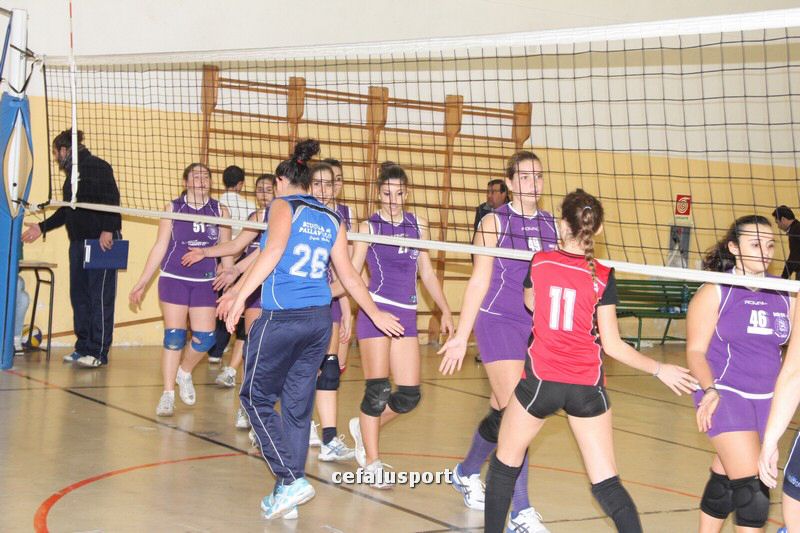 IMG_7287_tn.jpg