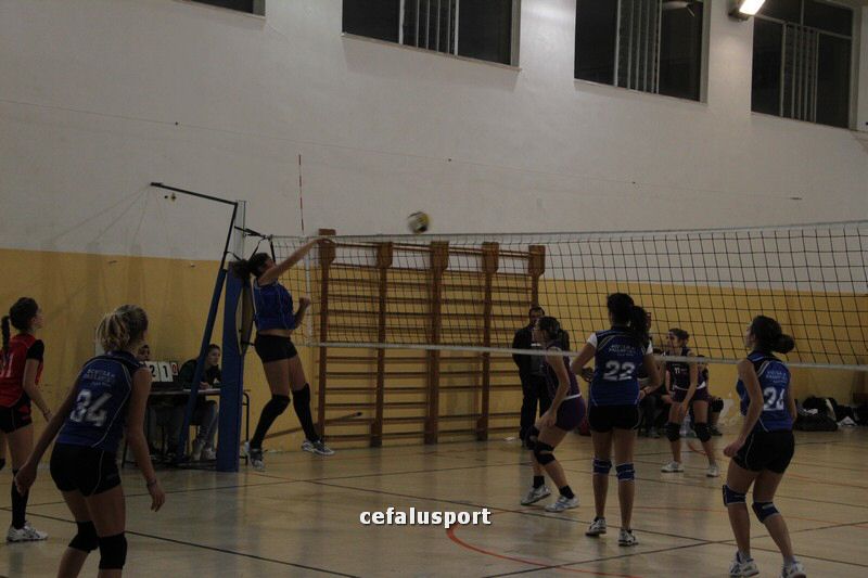 IMG_7305_tn.jpg