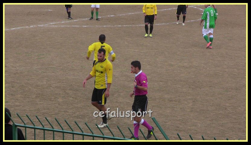 IMG_2203_tn.jpg