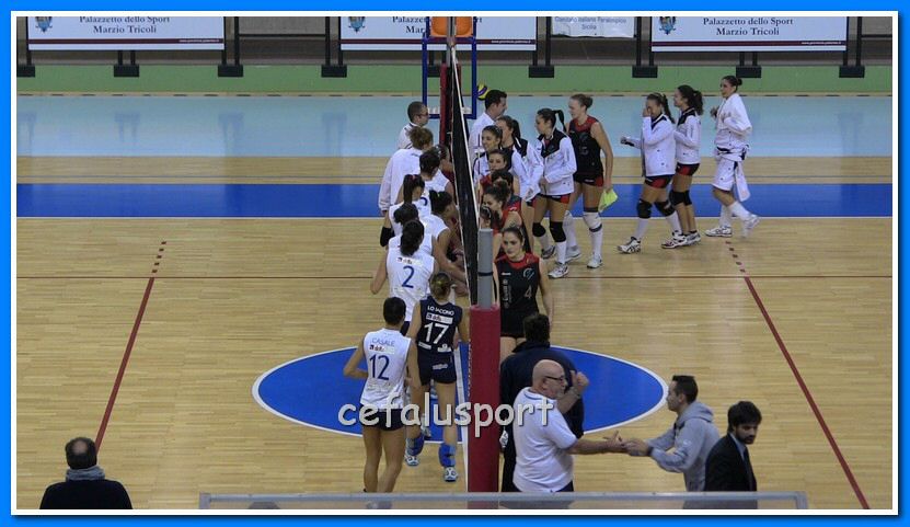 IMG_2636_tn.jpg