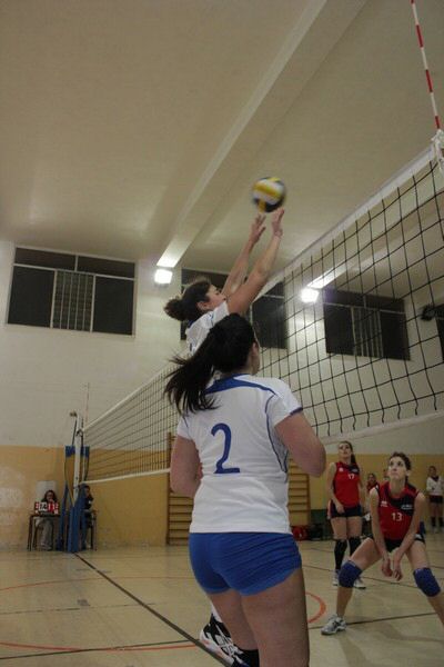 IMG_0896.jpg