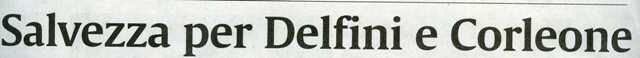 130430newsProm005.jpg