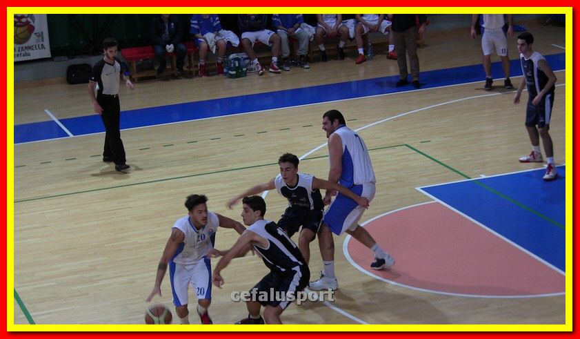IMG_3580_tn.jpg