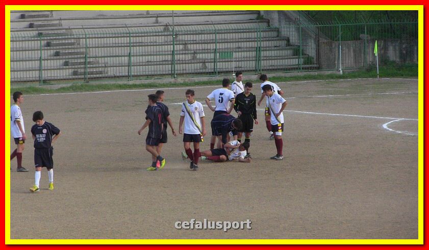 IMG_7646_tn.jpg