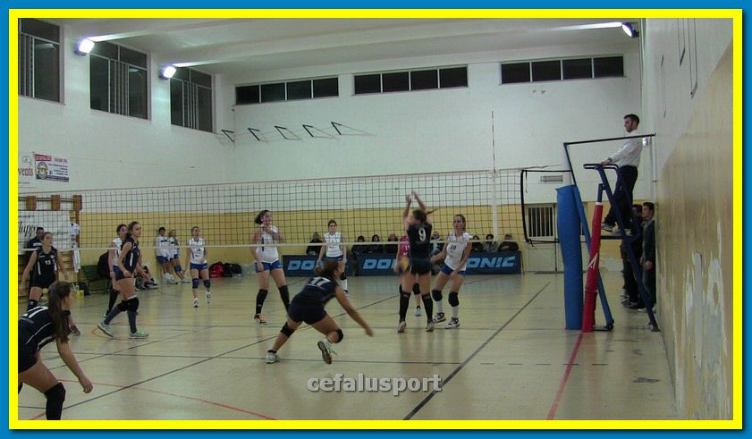 IMG_1286_tn.jpg