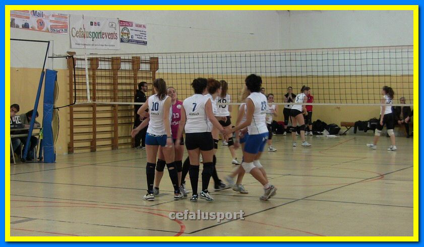 IMG_3019_tn.jpg