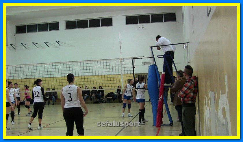 IMG_3060_tn.jpg
