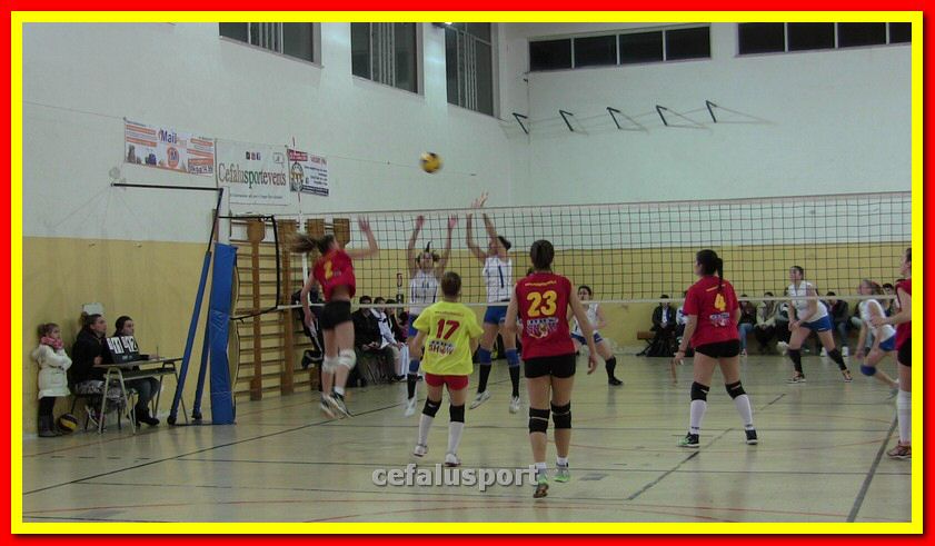 IMG_3311_tn.jpg
