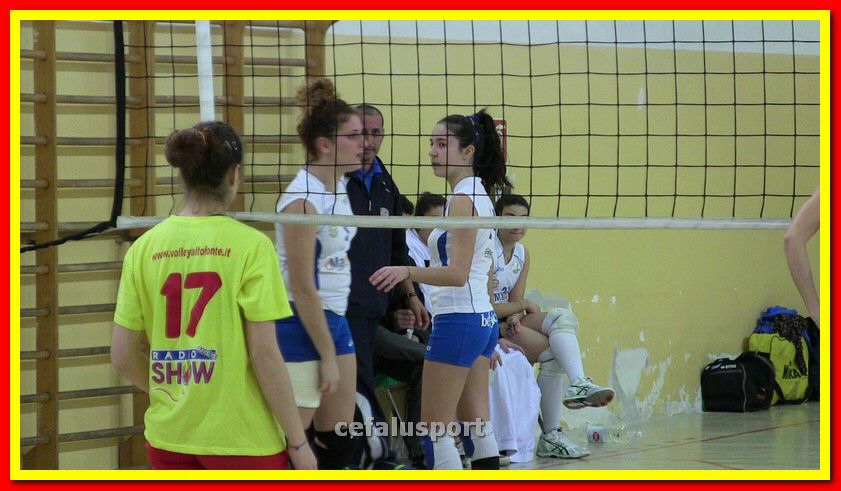 IMG_3313_tn.jpg