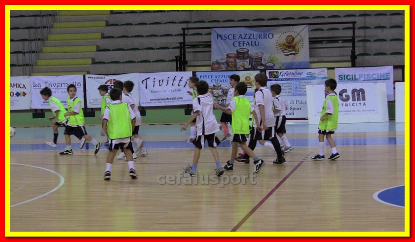 IMG_0390_tn.jpg
