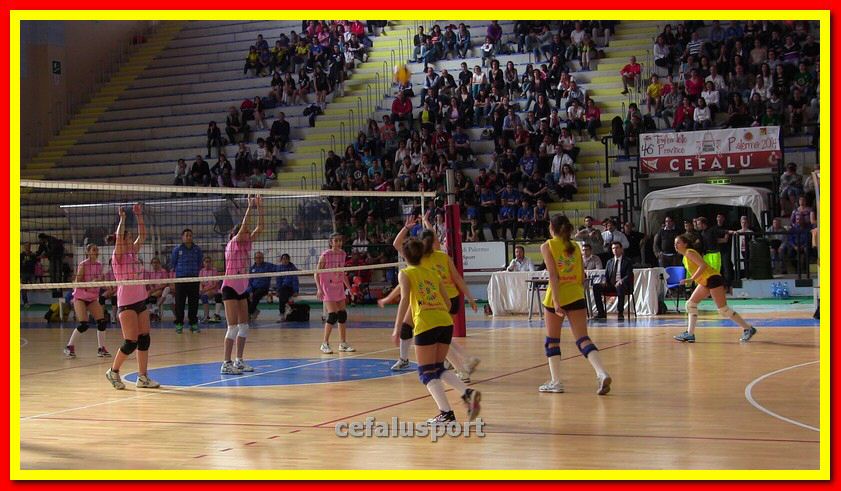 IMG_5894_tn.jpg