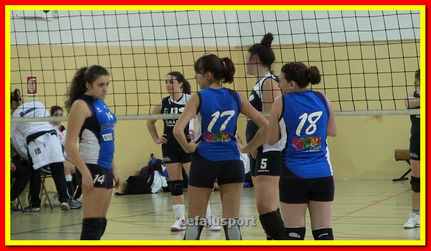 IMG_5953_tn.jpg
