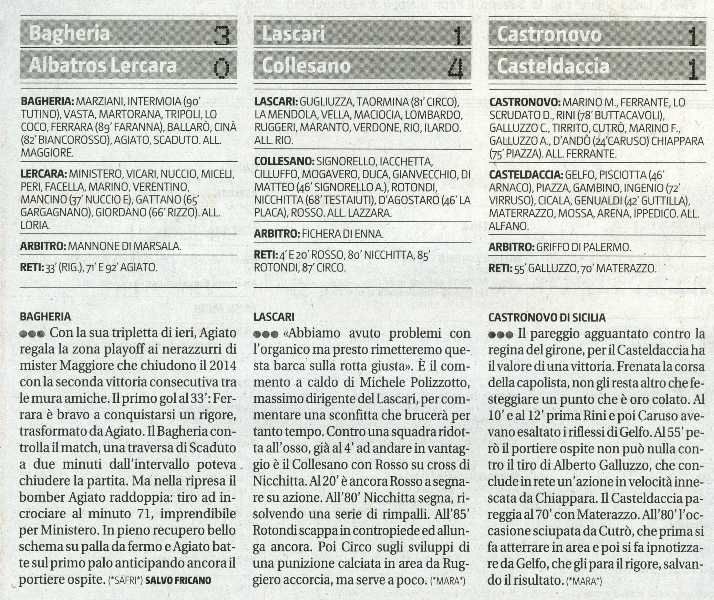 141222_1cat031.jpg