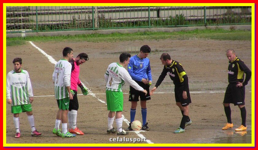 IMG_2733_tn.jpg