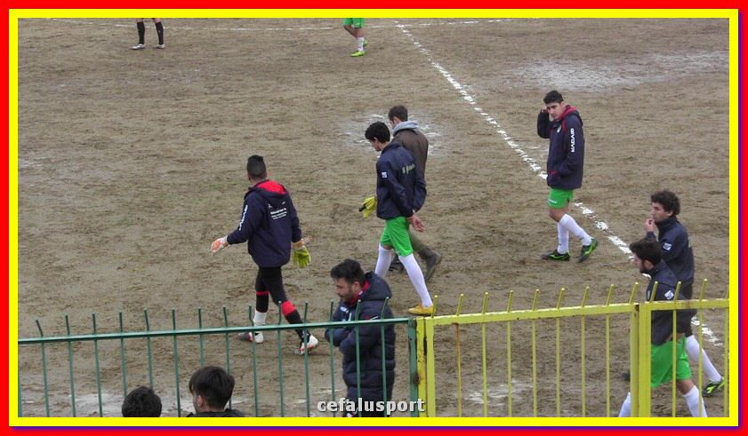 IMG_2770_tn.jpg