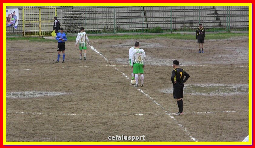 IMG_2779_tn.jpg