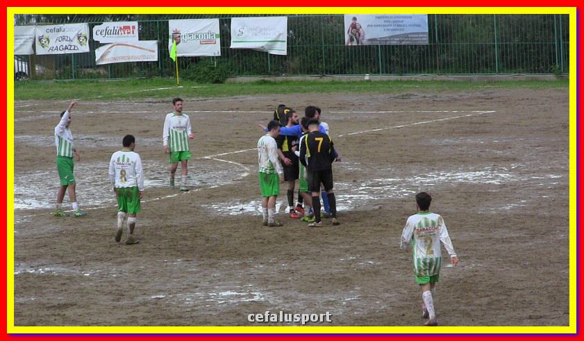 IMG_2795_tn.jpg