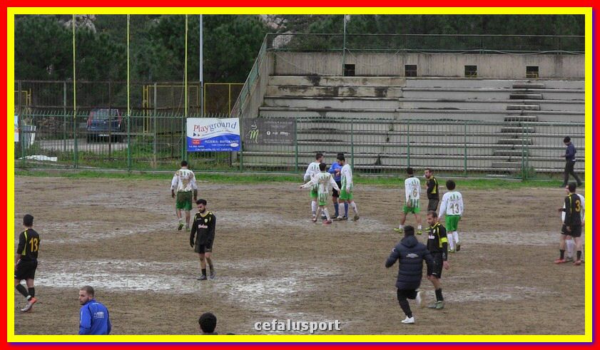 IMG_2810_tn.jpg