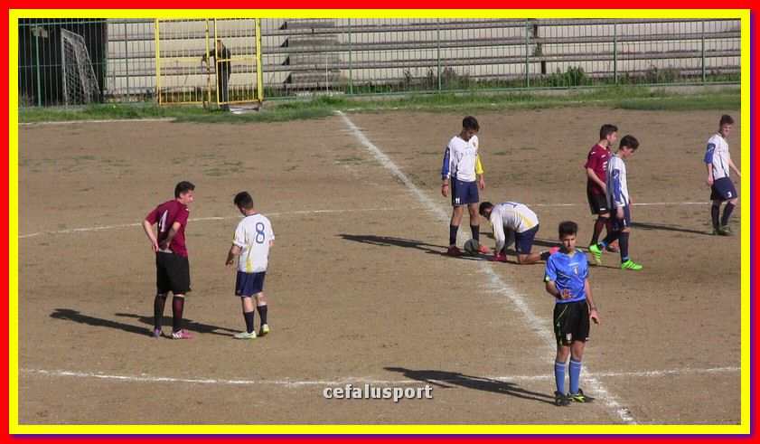 IMG_3519_tn.jpg