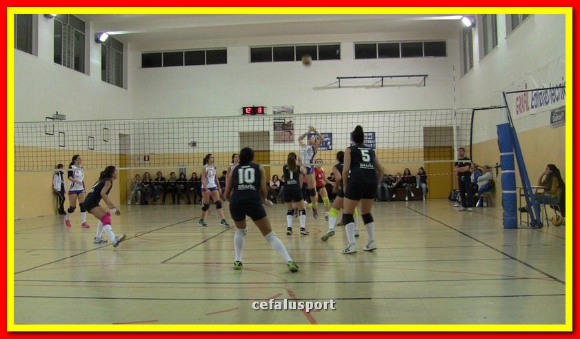 IMG_1037_tn.jpg
