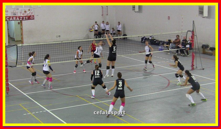 IMG_1291_tn.jpg