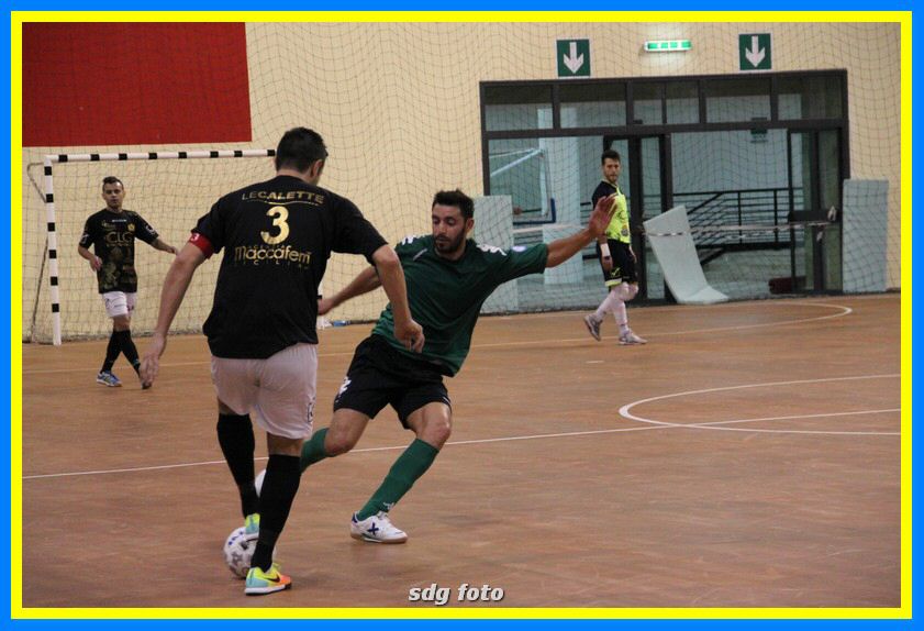 IMG_5952_tn.jpg