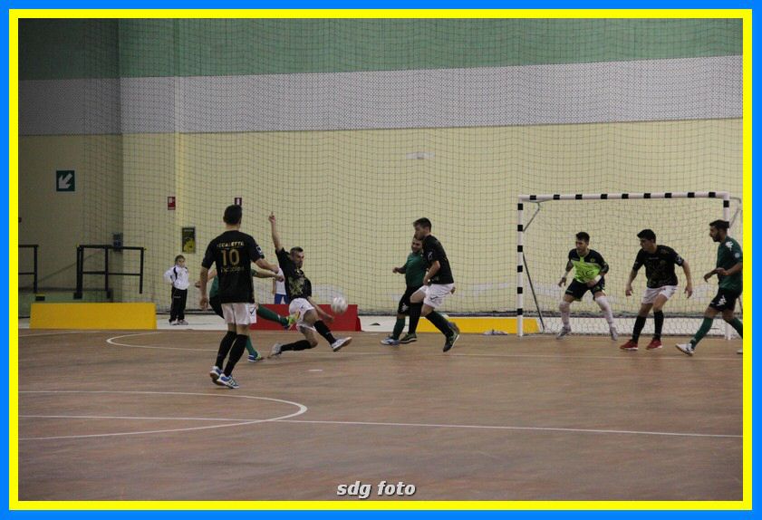 IMG_5983_tn.jpg