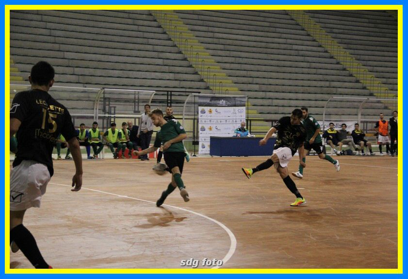 IMG_6052_tn.jpg