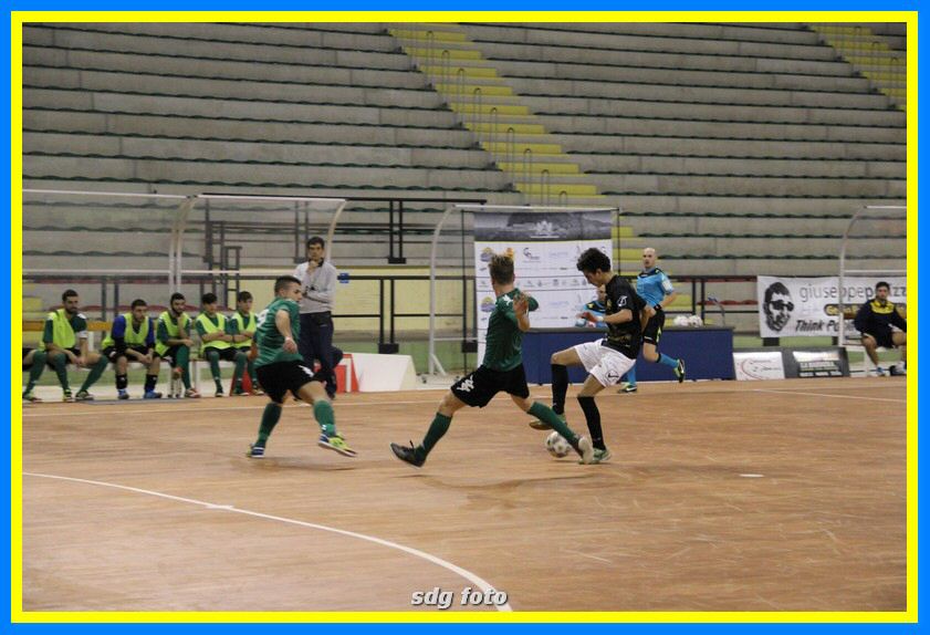 IMG_6092_tn.jpg