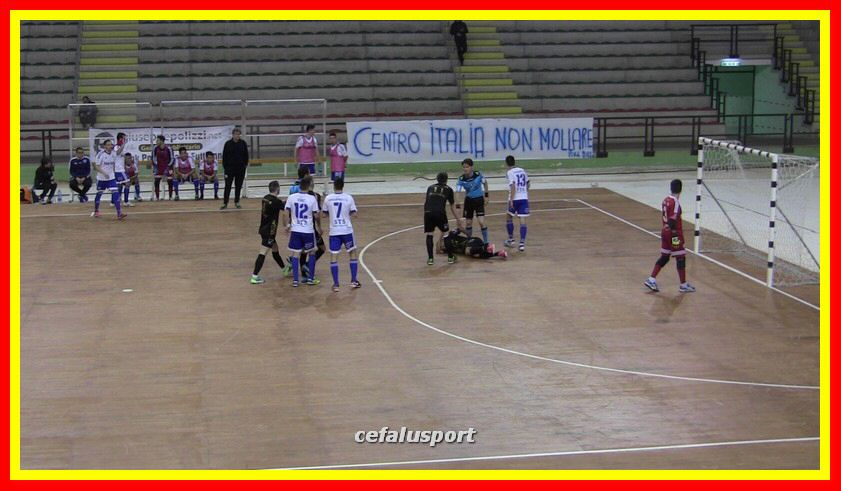 IMG_6501_tn.jpg