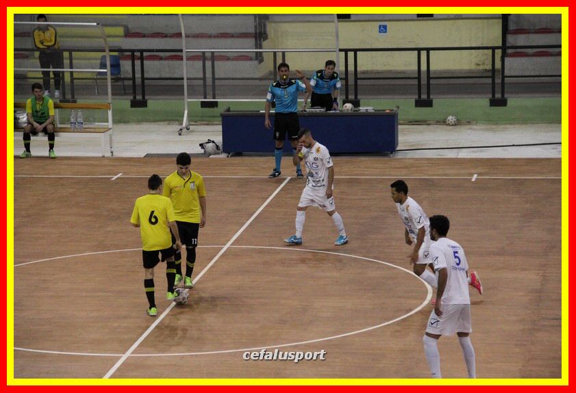 IMG_7667_tn.jpg