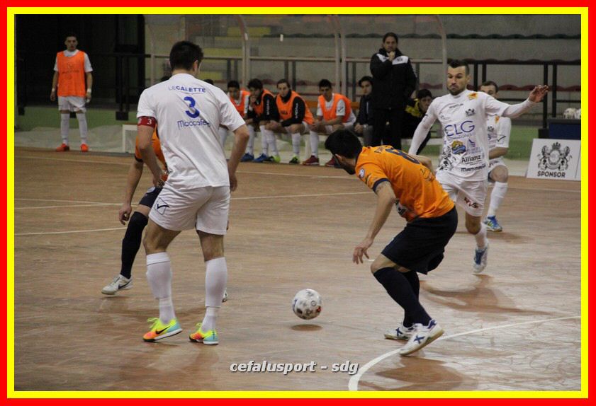 IMG_6695_tn.jpg