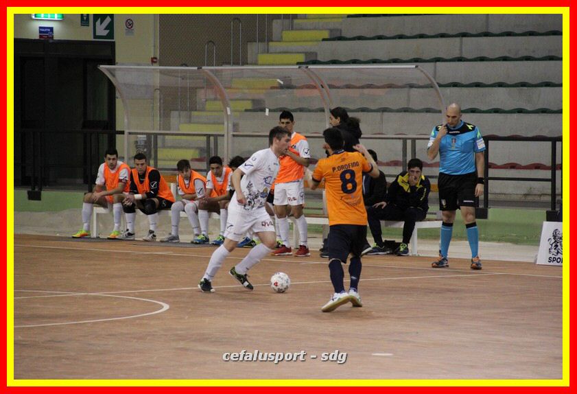 IMG_6718_tn.jpg