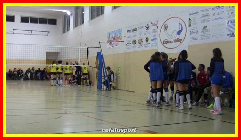 IMG_2623_tn.jpg