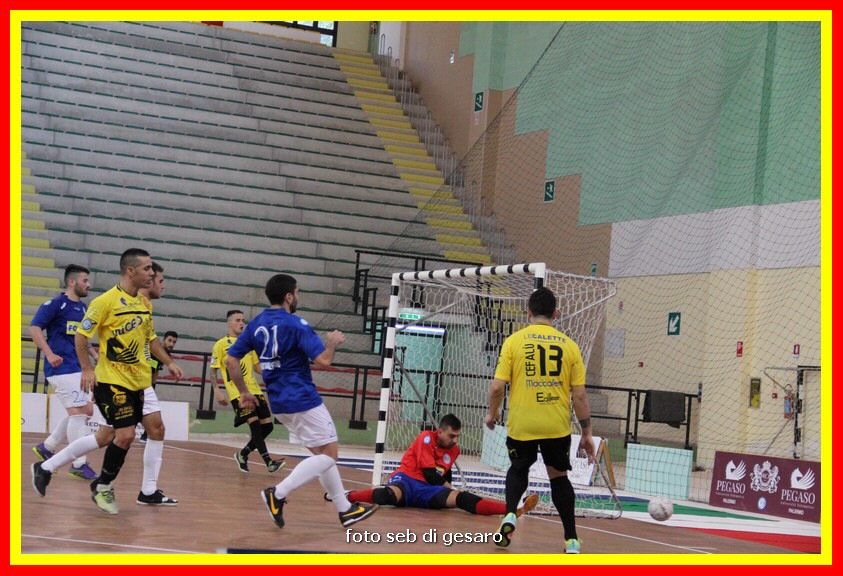 IMG_0087.jpg