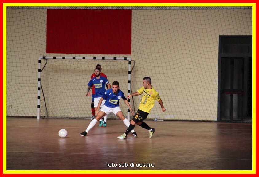 IMG_9947.jpg