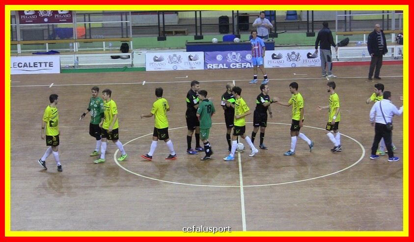 IMG_2639.jpg
