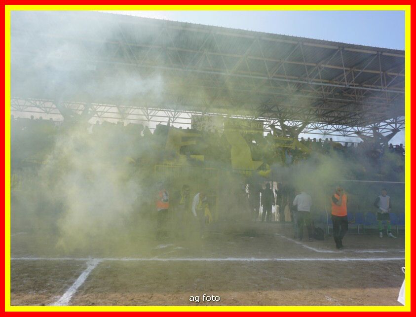 DSC01095_tn.jpg