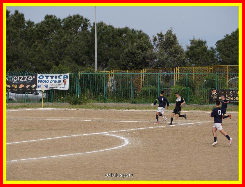DSC04234_tn.jpg