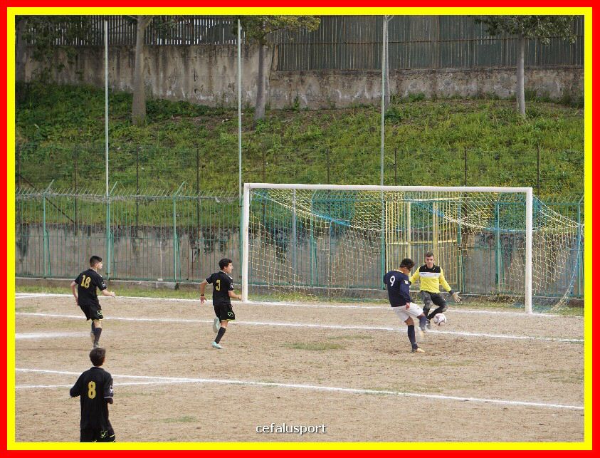 DSC04238_tn.jpg