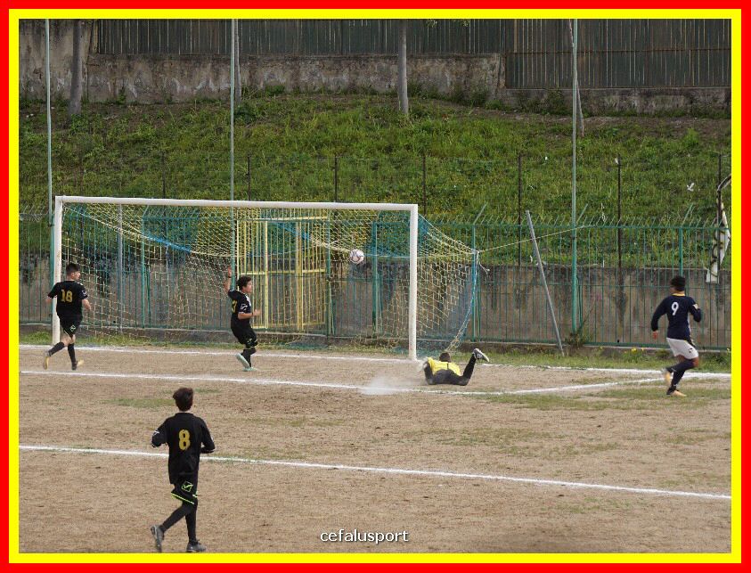 DSC04239_tn.jpg