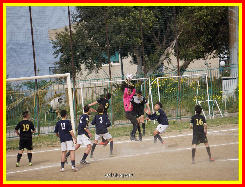 DSC04252_tn.jpg
